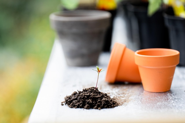 family-friendly Irish garden learning setting with potted plants tools and a tidy patio table